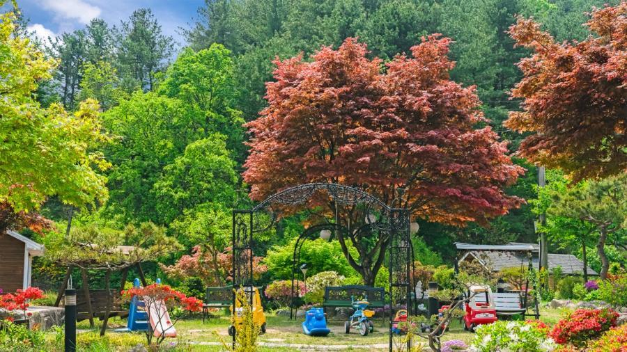 Gapyeong Yeheaden Pension Pocheon Exterior photo